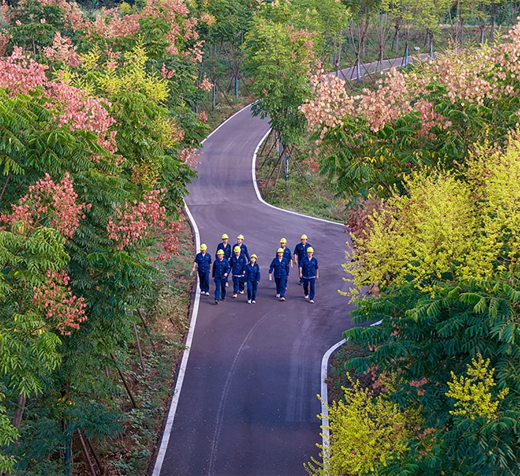 ������(�й�)��վ-AG�콢��