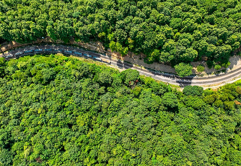 ������(�й�)��վ-AG�콢��