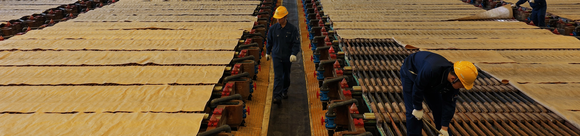 ������(�й�)��վ-AG�콢��